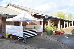 SPRING HAS SPRUNG BAT MITZVAH